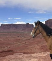 Monument Valley (39) &ndash; &copy; Madlena Voigt (Eberhardt TRAVEL)