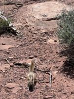 Arches Nationalpark (1) &ndash; &copy; Madlena Voigt (Eberhardt TRAVEL)