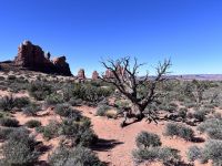Arches Nationalpark (5) &ndash; &copy; Madlena Voigt (Eberhardt TRAVEL)