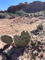 Arches Nationalpark (7) &ndash; &copy; Madlena Voigt (Eberhardt TRAVEL)