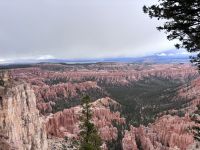 Bryce Canyon (9) &ndash; &copy; Madlena Voigt (Eberhardt TRAVEL)