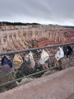 Bryce Canyon (14) &ndash; &copy; Madlena Voigt (Eberhardt TRAVEL)