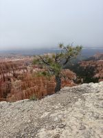 Bryce Canyon (3) &ndash; &copy; Madlena Voigt (Eberhardt TRAVEL)