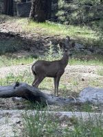 Yosemite Nationalpark (66) &ndash; &copy; Madlena Voigt (Eberhardt TRAVEL)