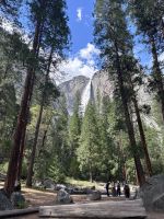 Yosemite Nationalpark (67) &ndash; &copy; Madlena Voigt (Eberhardt TRAVEL)