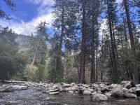 Yosemite Nationalpark (91) &ndash; &copy; Madlena Voigt (Eberhardt TRAVEL)