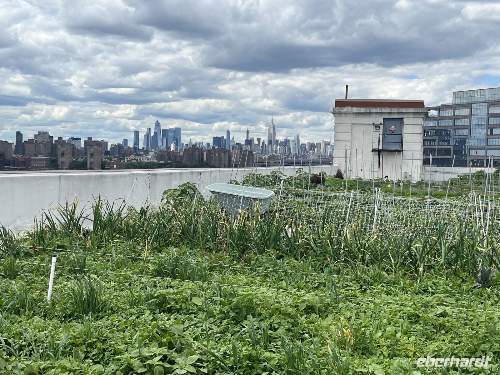 Brooklyn Grange Farm &ndash; &copy; Vicky Kern (Eberhardt TRAVEL)