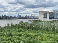 Brooklyn Grange Farm &ndash; &copy; Vicky Kern (Eberhardt TRAVEL)
