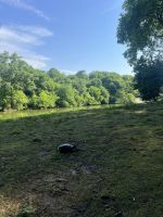 Central Park &ndash; &copy; Vicky Kern (Eberhardt TRAVEL)