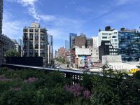 Highline Park New York (5) &ndash; &copy; Madlena Voigt (Eberhardt TRAVEL)