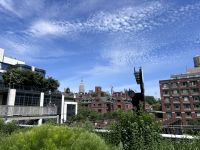 Highline Park New York (6) &ndash; &copy; Madlena Voigt (Eberhardt TRAVEL)