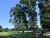 Central Park New York (5) &ndash; &copy; Madlena Voigt (Eberhardt TRAVEL)