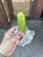 Foodtour Lower Eastside New York (29) &ndash; &copy; Madlena Voigt (Eberhardt TRAVEL)