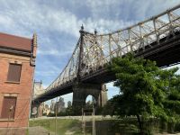 Bronx New York (10)