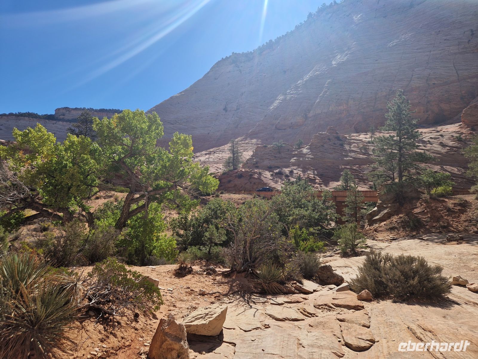 Zion Nationalpark  &ndash; &copy; Kristin Werner (Eberhardt TRAVEL)