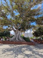 Olvera Street &ndash; &copy; Kristin Werner (Eberhardt TRAVEL)