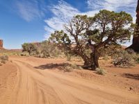 Monument Valley &ndash; &copy; Kristin Werner (Eberhardt TRAVEL)