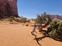 Monument Valley &ndash; &copy; Kristin Werner (Eberhardt TRAVEL)
