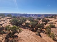 Dead Horse Point &ndash; &copy; Kristin Werner (Eberhardt TRAVEL)