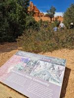 Red Canyon &ndash; &copy; Kristin Werner (Eberhardt TRAVEL)