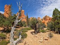 Red Canyon &ndash; &copy; Kristin Werner (Eberhardt TRAVEL)