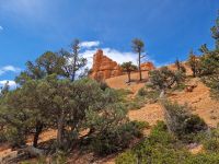 Red Canyon &ndash; &copy; Kristin Werner (Eberhardt TRAVEL)