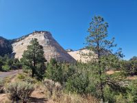 Zion Nationalpark  &ndash; &copy; Kristin Werner (Eberhardt TRAVEL)