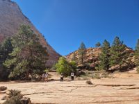 Zion Nationalpark  &ndash; &copy; Kristin Werner (Eberhardt TRAVEL)