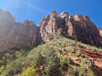 Zion Nationalpark  &ndash; &copy; Kristin Werner (Eberhardt TRAVEL)