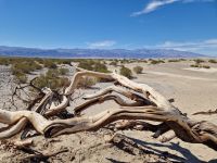 Death Valley &ndash; &copy; Kristin Werner (Eberhardt TRAVEL)