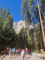 Yosemite Nationalpark  &ndash; &copy; Kristin Werner (Eberhardt TRAVEL)