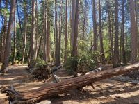 Yosemite Nationalpark  &ndash; &copy; Kristin Werner (Eberhardt TRAVEL)