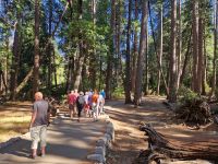 Yosemite Nationalpark  &ndash; &copy; Kristin Werner (Eberhardt TRAVEL)