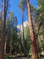 Yosemite Nationalpark  &ndash; &copy; Kristin Werner (Eberhardt TRAVEL)