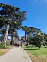 Alamo Square &ndash; &copy; Kristin Werner (Eberhardt TRAVEL)