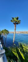 43 Colorado River