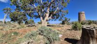 76 Desert View Tower &ndash; &copy; Susanne Schirmann (Eberhardt TRAVEL)