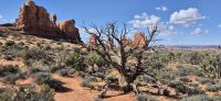 111 Arches NP &ndash; &copy; Susanne Schirmann (Eberhardt TRAVEL)
