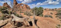 116 Arches NP &ndash; &copy; Susanne Schirmann (Eberhardt TRAVEL)