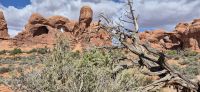 119 Arches NP &ndash; &copy; Susanne Schirmann (Eberhardt TRAVEL)