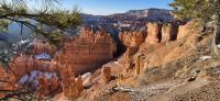 144 Bryce Canyon am Morgen &ndash; &copy; Susanne Schirmann (Eberhardt TRAVEL)