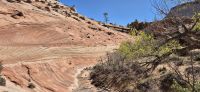 149 Zion Nationalpark &ndash; &copy; Susanne Schirmann (Eberhardt TRAVEL)