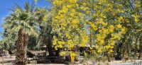275 Oase Furnace Creek &ndash; &copy; Susanne Schirmann (Eberhardt TRAVEL)