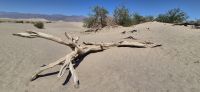 283 Death Valley &ndash; &copy; Susanne Schirmann (Eberhardt TRAVEL)