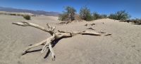 284 Death Valley &ndash; &copy; Susanne Schirmann (Eberhardt TRAVEL)