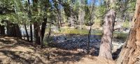 295 Wawona Fluss &ndash; &copy; Susanne Schirmann (Eberhardt TRAVEL)