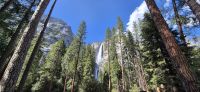 303 Yosemite Falls &ndash; &copy; Susanne Schirmann (Eberhardt TRAVEL)
