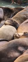 342 Chillout time &ndash; &copy; Susanne Schirmann (Eberhardt TRAVEL)