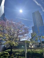 Los Angeles &ndash; &copy; Andy Nguyen (Eberhardt TRAVEL)