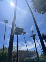 Beverly Hills &ndash; &copy; Andy Nguyen (Eberhardt TRAVEL)